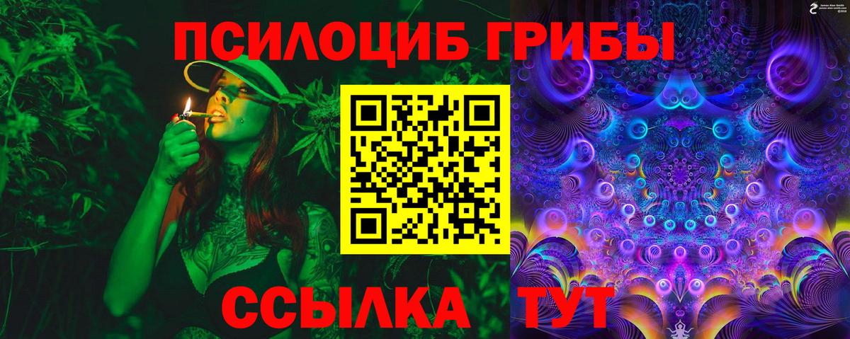 Псилоцибиновые грибы мицелий Моршанск